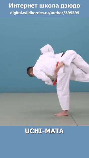 Интернет школа дзюдо. UCHI-MATA 3