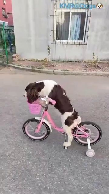 Наверное, ещё крестиком вышивать умеет😂