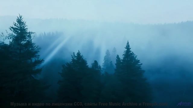 Леса, поля и трек, что покорит душу - That Love Is Me -- PLANET WARDO -- Single Slices