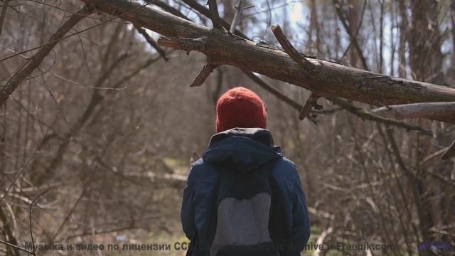 Клип, созданный на нейтринном детекторе - искусство и наука сливаются! - Tightrope -- Kirk Osamayo -