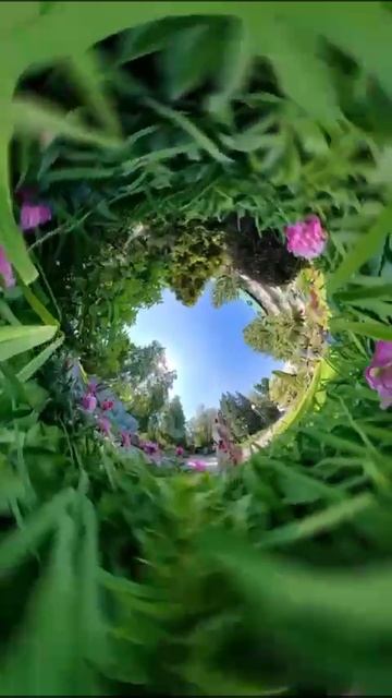 🌸 Санаторий «АлтайWest» утопает в цветах! 🌸