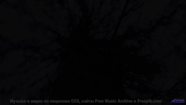 Эта музыка заставит вашу кровь кипеть - осторожно! - Step to Space -- Rolemusic -- Unnamed album