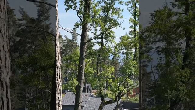 Вид участка - панорама
