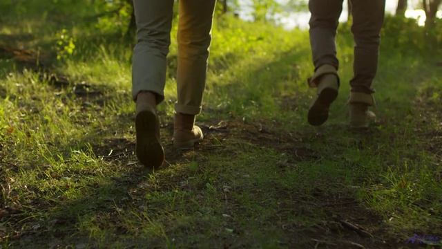 Эти пейзажи и музыка выносят мозг моментально - Walk Away -- Jeremy Allingham -- Run Wild