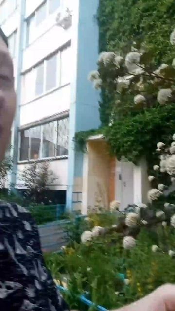 Когда не знаешь название