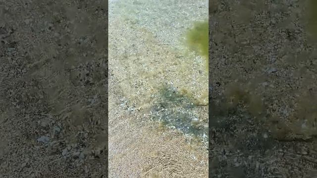 Море в Анапе на 7 июня 2025г