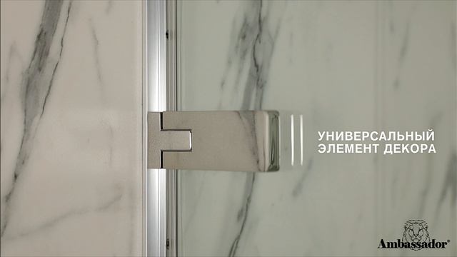 Amnbassador Abner 10011102L