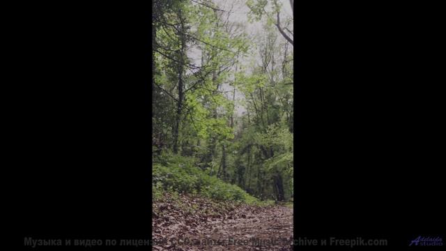 Ваш личный оазис спокойствия - просто нажмите Play! - Brit Pop -- Scott Holmes Music -- Rock Backgro