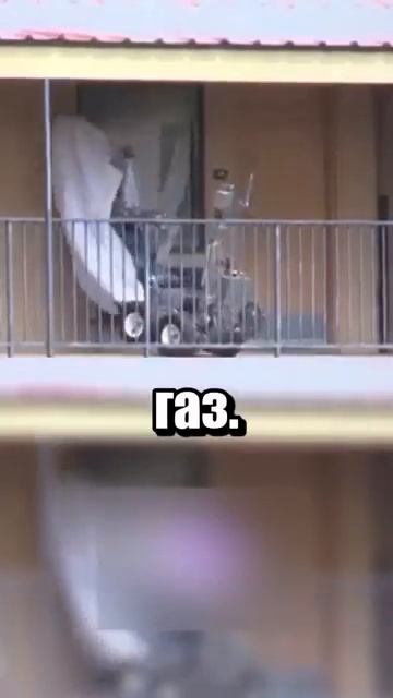 i11ushenka (204)