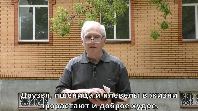 Михаил Румачик -"Пшеница и плевелы"| Церковь ЕХБ Истра