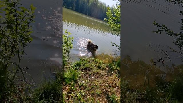 Водные игрища.