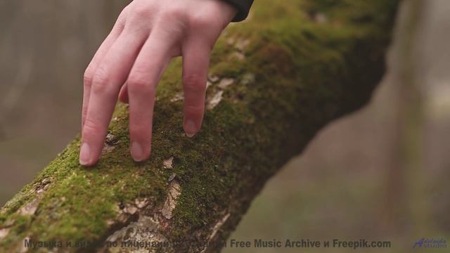 Музыка для цифрового бессмертия - готовы ли вы загрузить своё сознание - Creative Design -- Scott Ho