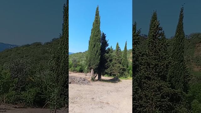 Остановка на горной дороге