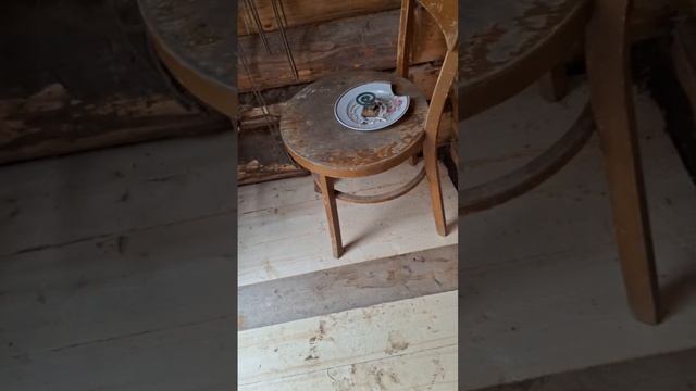 Баня окончание