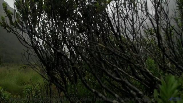 Этот клип покажет, зачем люди любят путешествовать - Wont need Money Where Im Going -- HoliznaCC0 --