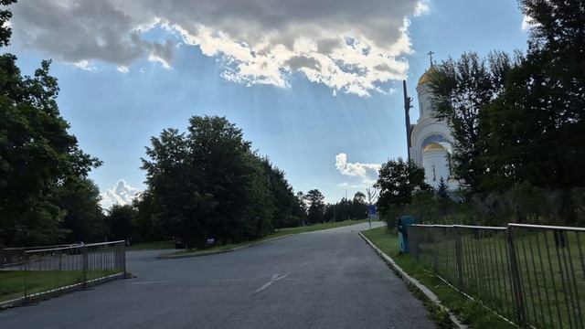 Подсолнух