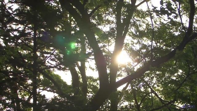 Эта композиция создана солнечным ветром - как такое возможно - The Future Is Ours -- Scott Holmes Mu