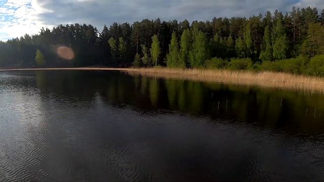 Идеальное начало дня в Лосево.