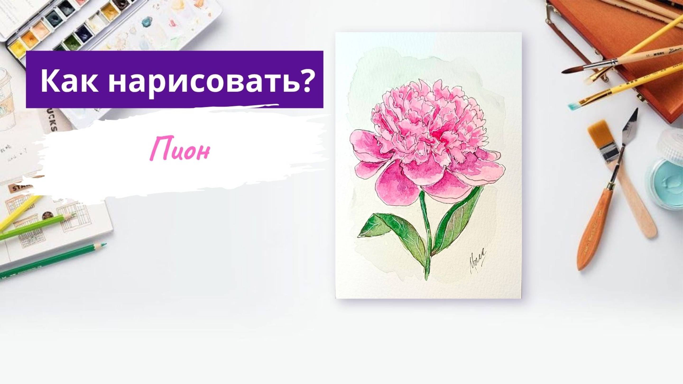 Пион, мини-урок, акварельный скетчинг