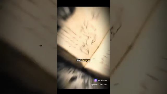 Сказка ложь, да в ней намёк...
