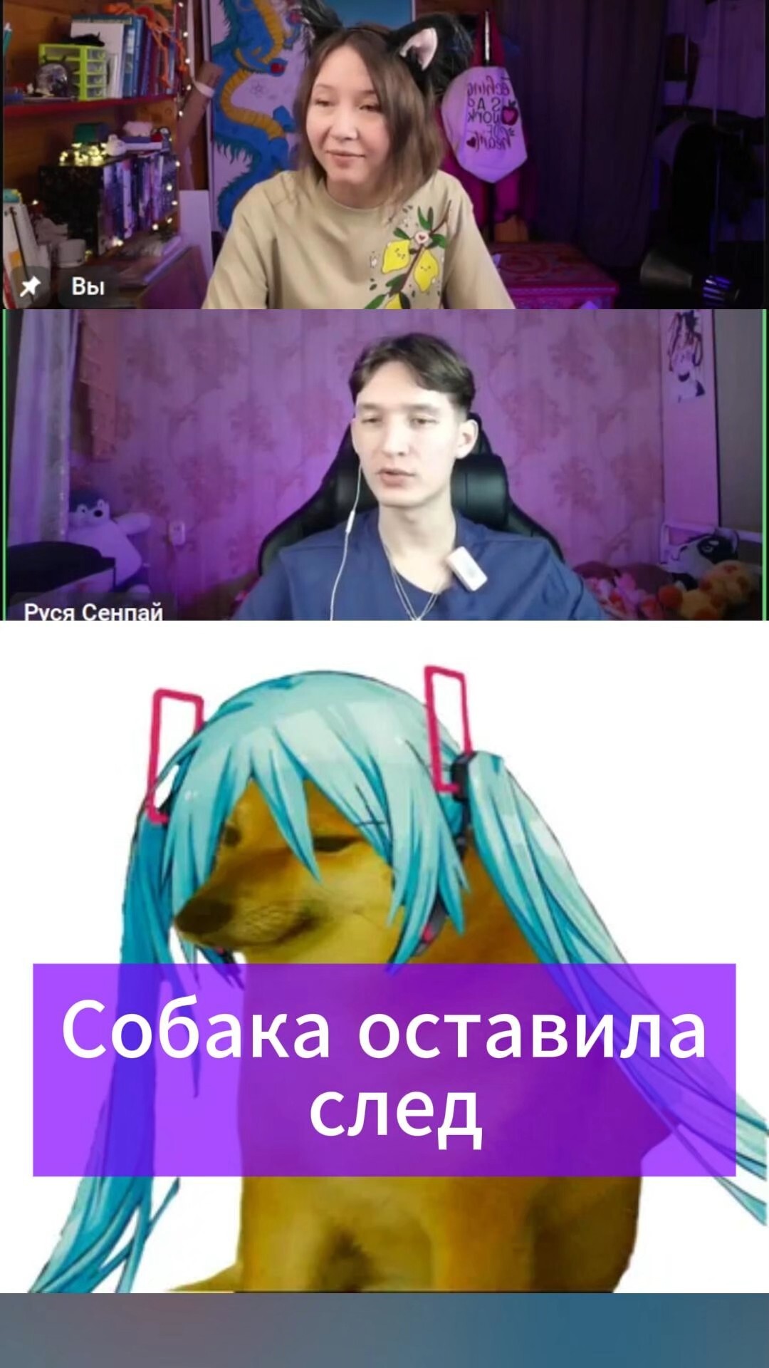 Собака оставила след #аниме #anime #юмор #анимеобзор #реакция #злодейканаслаждается