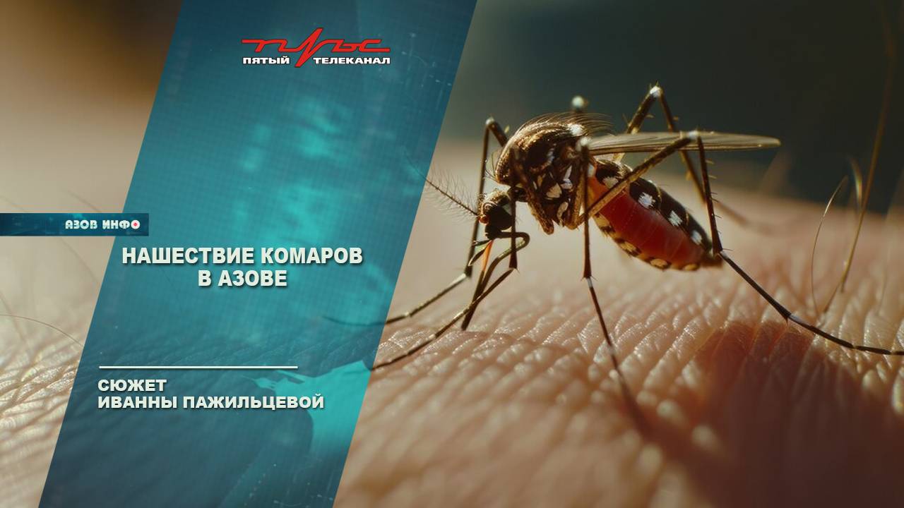 Нашествие комаров в Азове