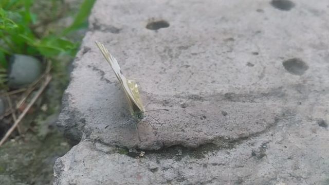VID_20250604_161026