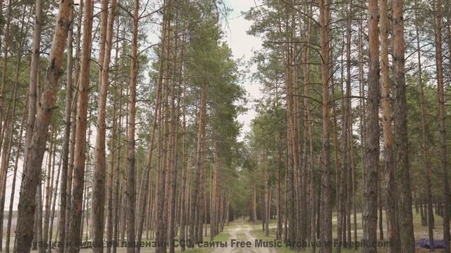 Эта музыка настолько красива, что хочется плакать - A Billion Years Ago -- The Special Pillow -- A B