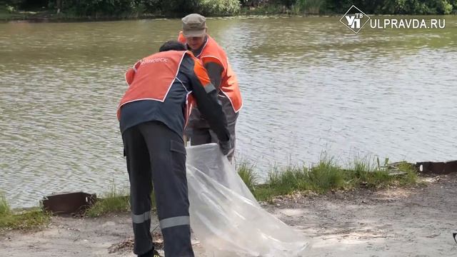 Чистая Свияга. Ульяновские энергетики навели порядок на берегах реки