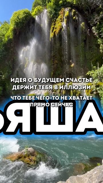 Идея о будущем счастье
держит тебя в иллюзии