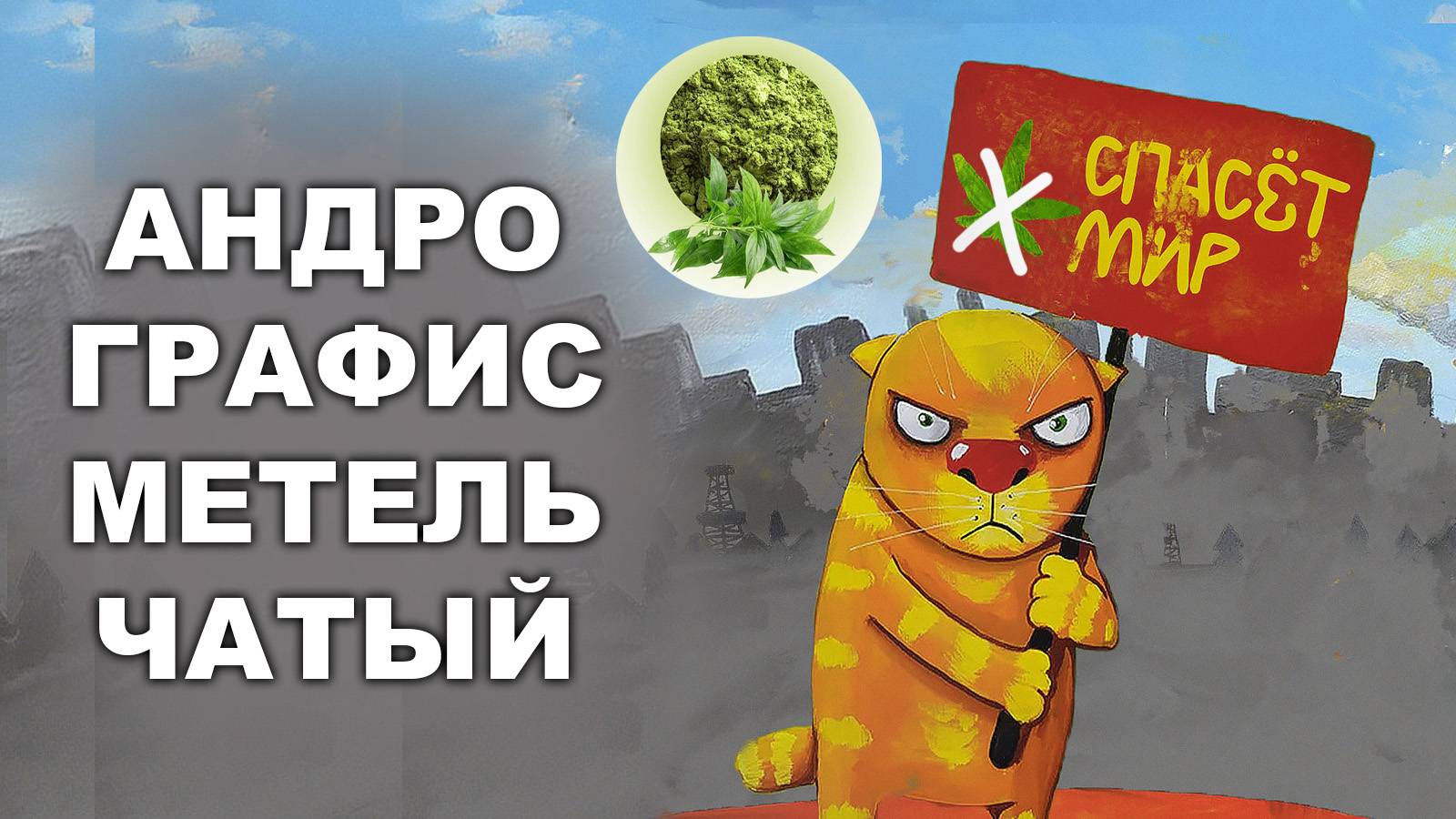 АНДРОГРАФИС МЕТЕЛЬЧАТЫЙ