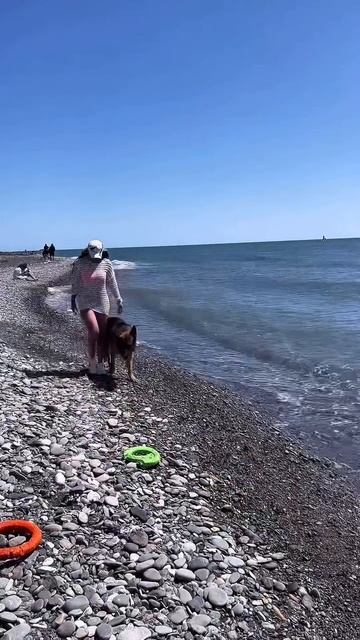 🌴😍🎉🐕☀️🌊