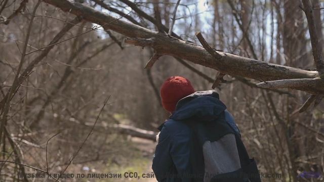 Эта музыка заставит вашу кровь кипеть - осторожно! - Happily Done -- Independent Music Licensing Col