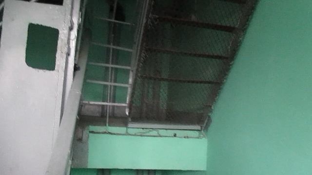 Лифты ЩЛЗ-(Ecomaks музыкальный (пассажирский «Б»)) @ г. Москва, ул. Братеевская, д. 18к3-4 (2326)