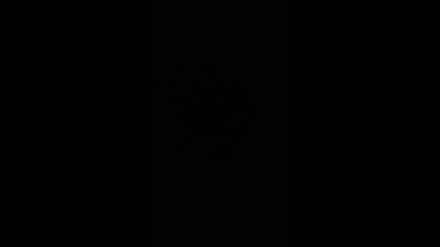 25 неделя, Английский, Галкин С