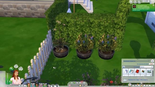 Династия Флорес 111 серия. Теперь старушка. The Sims 4