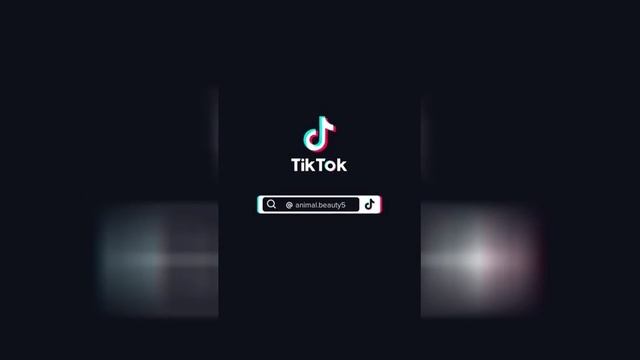 Best video of Tik Tok! 09.06.25 / 03