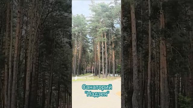 Чудо-место. Лечебное.🥰🤩🥰.mp4