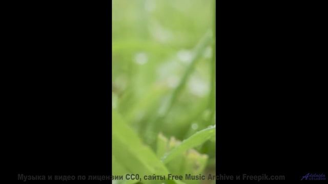 Эта мелодия - лучшее сопровождение закатов - get over it -- Tinmouth -- Surprise time
