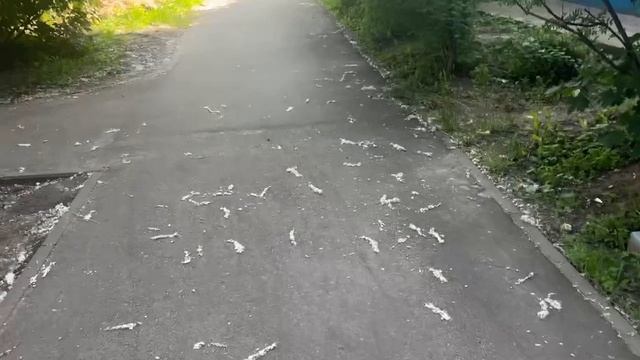 Асфальт и Облака: Горизонт Зовёт