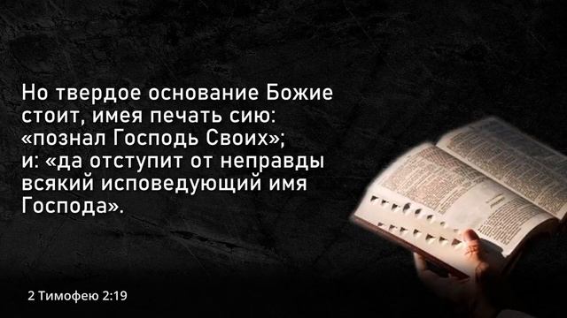 11-ч.6  Мировой этос.  Печать Бога и вера Иисуса.  Никола Тауберт