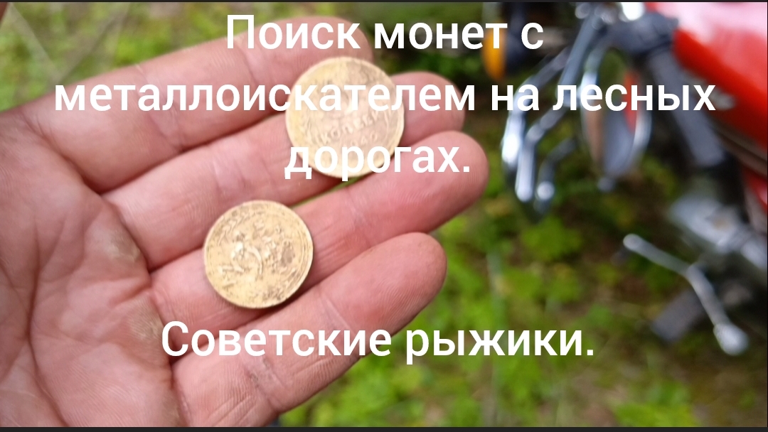 Находки с металлоискателем на лесных дорогах.