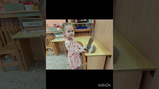 InShot_20241203_075408474