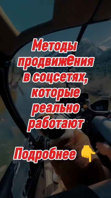 Секреты органического роста для сетевиков в боте