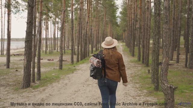 Эта песня звучит так, будто её написал сам ветер в горах! - Outside Myself -- Ketsa -- Vitality