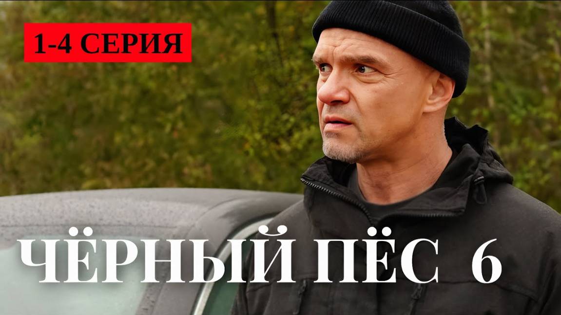 Черный пес 6 сезон 1 2 3 4 серия (премьера НТВ)