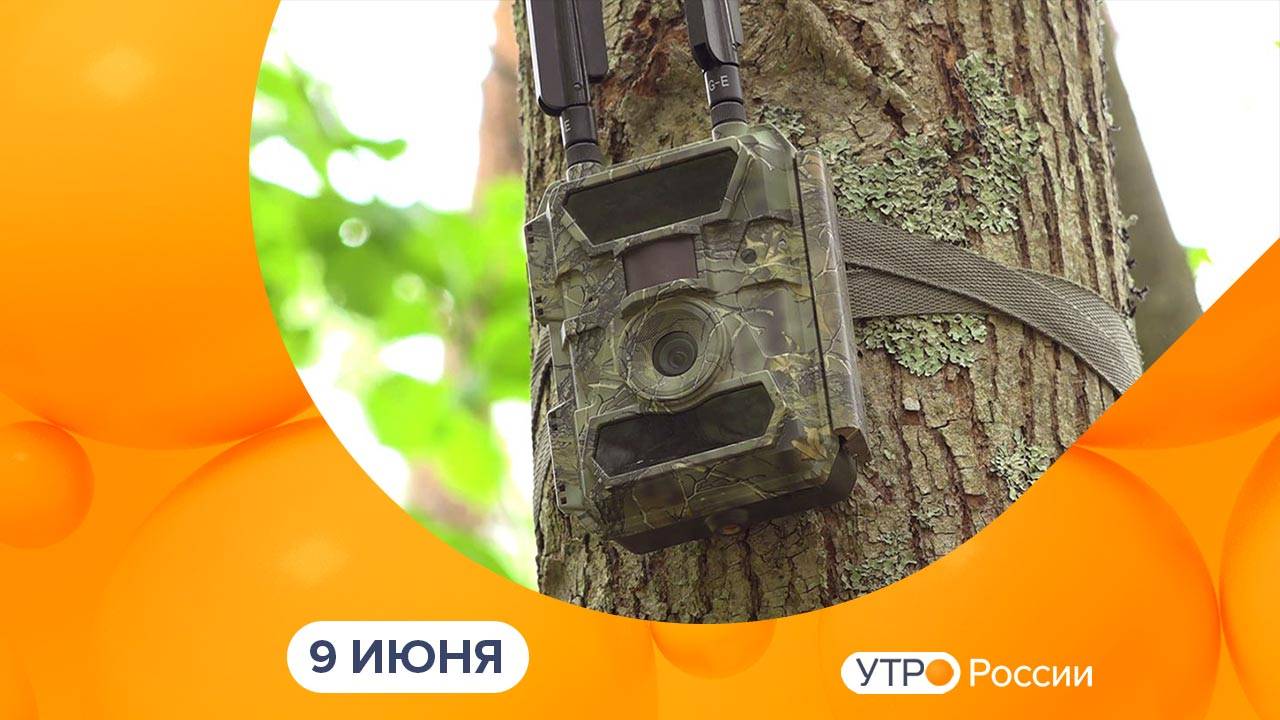 Утро России. Калуга (09.06.2025)