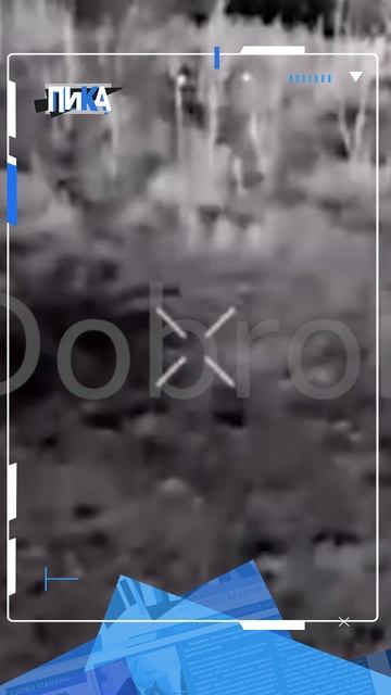 Боец "Бык" против "Бабы-Яги": кто победил в этой схватке?