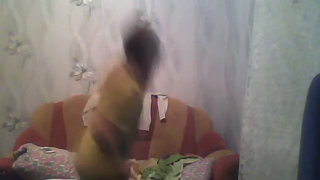 Видео с веб-камеры. Дата: 8 января 2014 г., 18:37.
