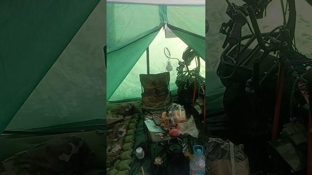 скаут сафари 3-8.